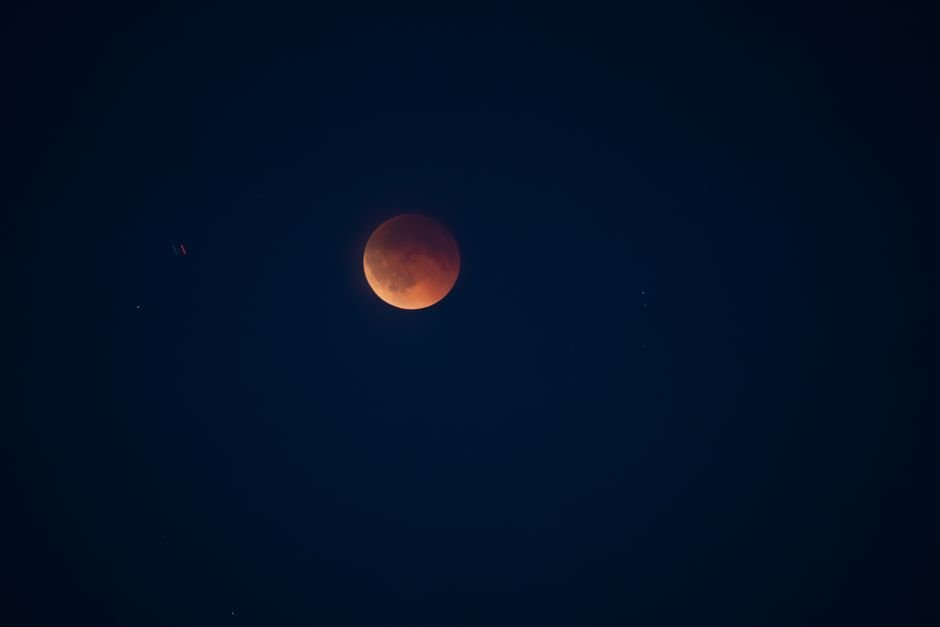 nyj-1788251620345-1